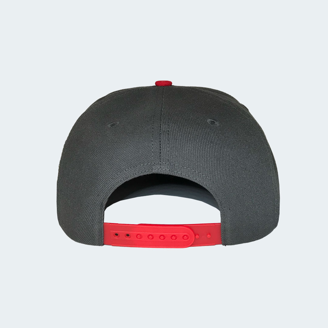 Snapback Cap - Berlin Donkeys