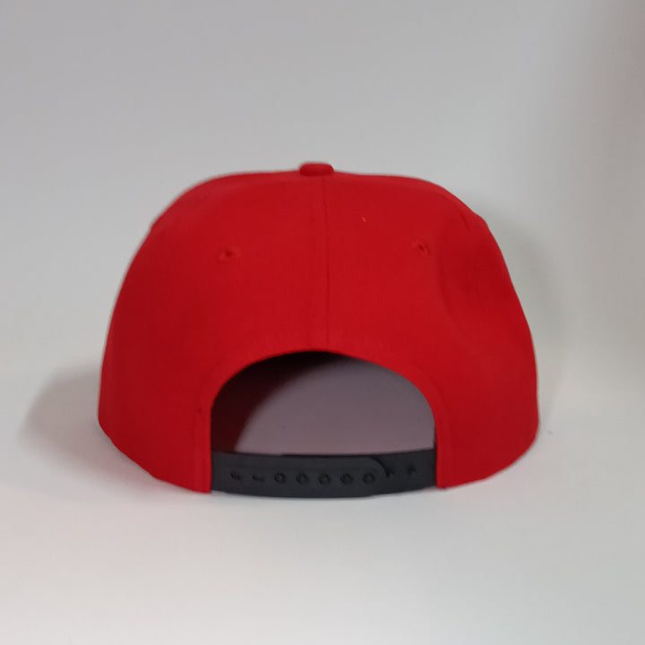 Snapback Cap - Bulle (CH)