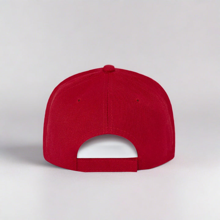 Cap adjustable Dragons back