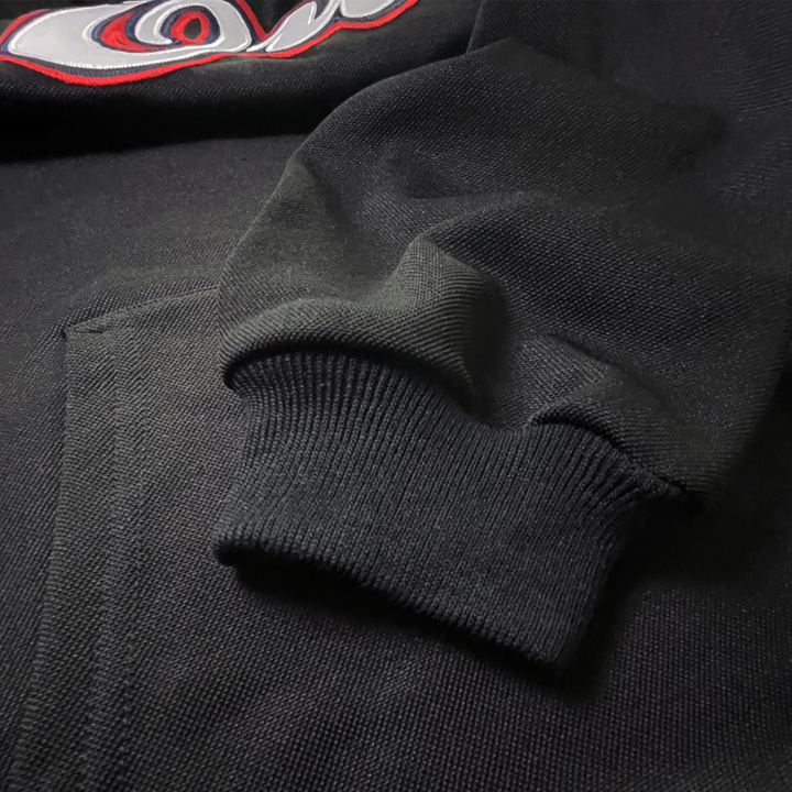 Adult Hoodie / Ours de Toulouse